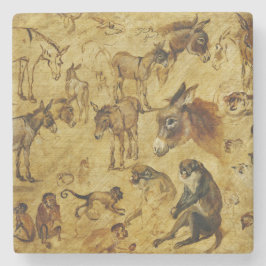 Posavasos De Piedra Estudios de animales: burros, monos, gatos y perro