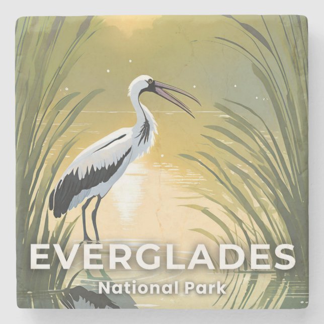 Posavasos De Piedra Everglades National Park | Watercolor Stork (Anverso)