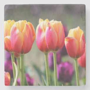 Posavasos De Piedra Faln Tulips Aflame