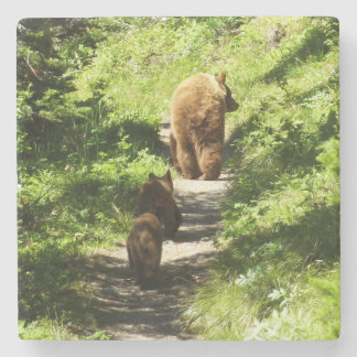 Posavasos De Piedra Familia de oso marrón