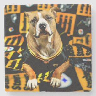 Posavasos De Piedra Fanático de Pitbull Rescue Dog