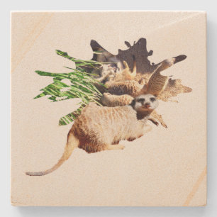Posavasos De Piedra Feliz Meerkat Con Pups,