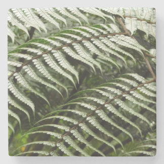 Posavasos De Piedra Fern Fronds II Naturaleza verde oscura