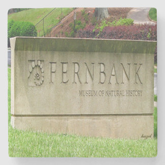 Posavasos De Piedra Fernbank Atlanta, Fernbank Atlanta