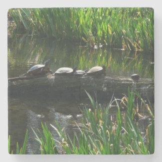 Posavasos De Piedra Fila de la naturaleza verde de las tortugas