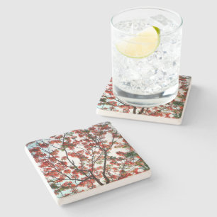 Posavasos De Piedra Flamboyante Royal Poinciana Floral Botánica