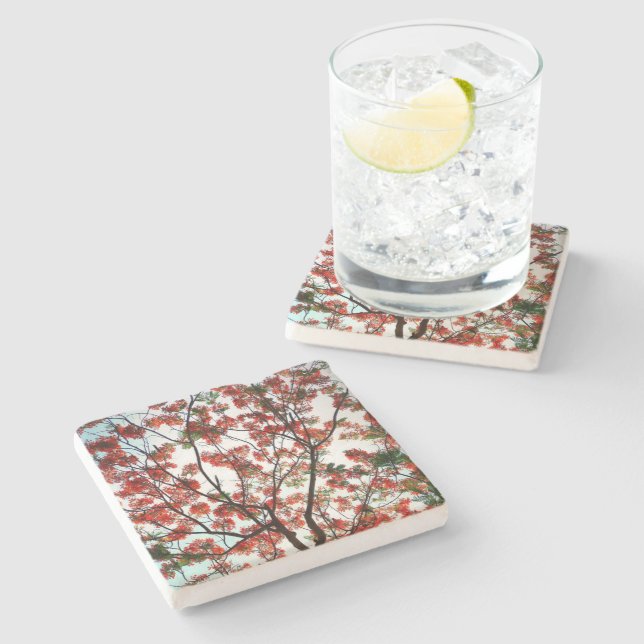 Posavasos De Piedra Flamboyante Royal Poinciana Floral Botánica (Lateral)