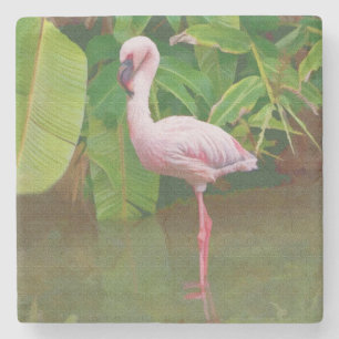 Posavasos De Piedra Flamenco rosado en el lago en la Florida