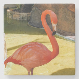 Posavasos De Piedra Flamingo rosa