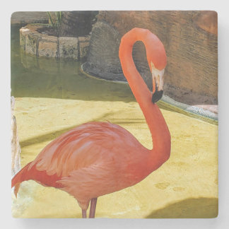 Posavasos De Piedra Flamingo rosa