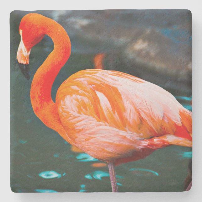 Posavasos De Piedra Flamingo Rosa Foto Bird Hermosa Audacia Moderna (Anverso)