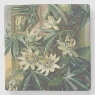 Posavasos De Piedra Flor azul de la pasión para el "templo de la