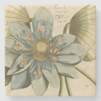 Flor azul Lotus en un fondo tan simple con escritu