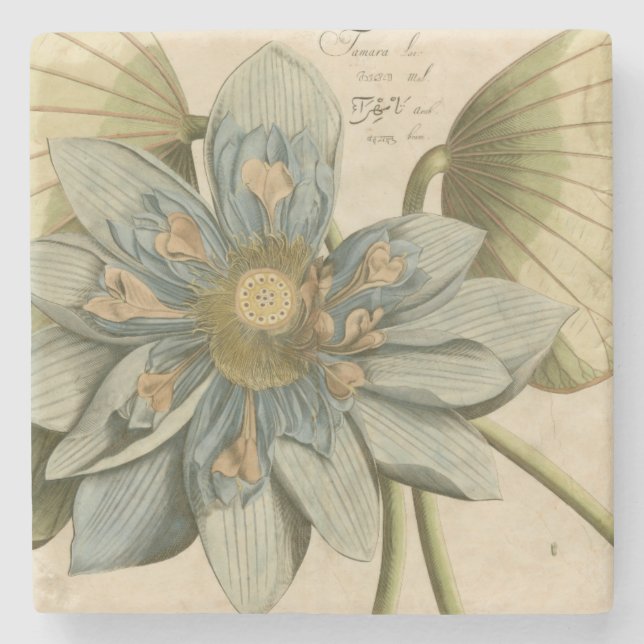 Posavasos De Piedra Flor azul Lotus en un fondo tan simple con escritu (Anverso)