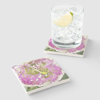 Posavasos De Piedra Flor Caper Blossom Arte Botánico