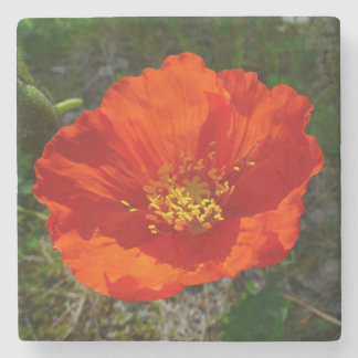 Posavasos De Piedra Flor colorida de adormidera roja de Alaska