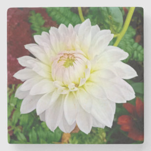 Posavasos De Piedra Flor crema y rosa