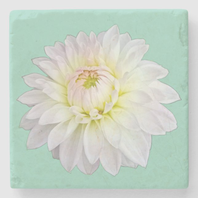 Posavasos De Piedra Flor crema y rosa (Anverso)