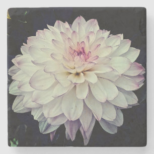 Posavasos De Piedra Flor crema y rosa