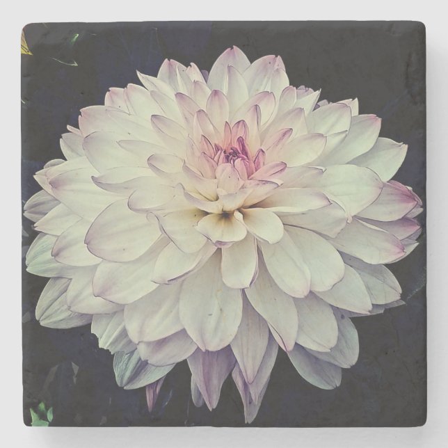 Posavasos De Piedra Flor crema y rosa (Anverso)