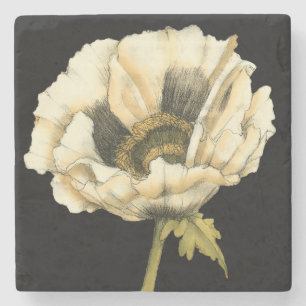 Posavasos De Piedra Flor de amapola crema en fondo negro