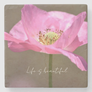 Posavasos De Piedra Flor de amapola islandesa rosa (fotografía mía)