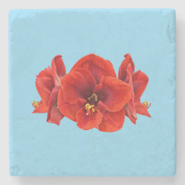 Posavasos De Piedra Flor de Amarilis Carmesí – Floración Botánica Eleg