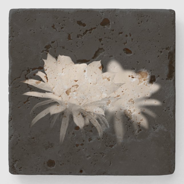 Posavasos De Piedra Flor de cactus negra y blanca (Anverso)