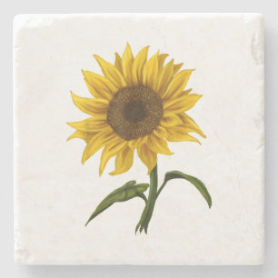 Posavasos De Piedra Flor de color de agua floral Sunflower