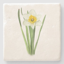 Flor de Daffodil
