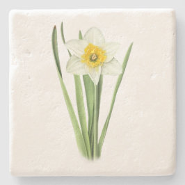 Posavasos De Piedra Flor de Daffodil