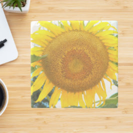 Posavasos De Piedra Flor de girasol amarillo grande