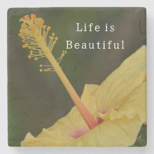 Posavasos De Piedra Flor de Hibisco Amarillo de Kauai (foto tomada por