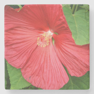 Posavasos De Piedra Flor de Hibiscus brillante flor magenta