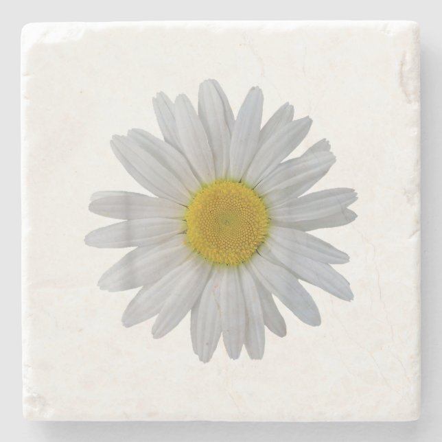 Posavasos De Piedra Flor de margarita blanca, margarita floreciente, f (Anverso)