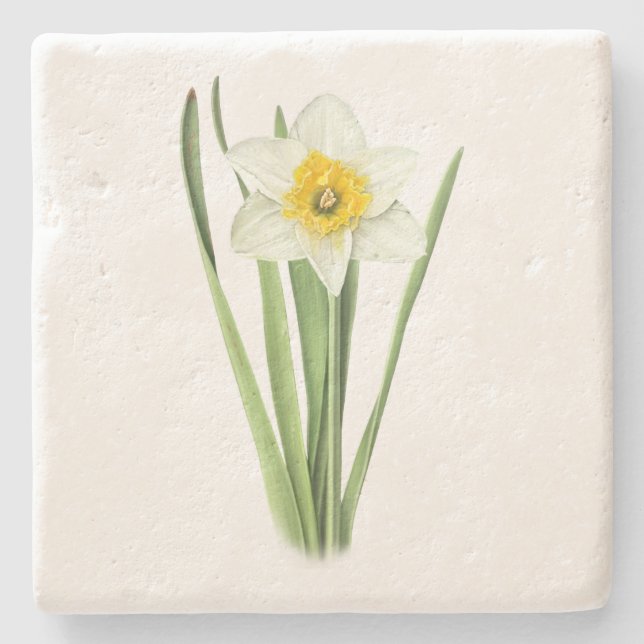 Posavasos De Piedra Flor de Narciso (Anverso)