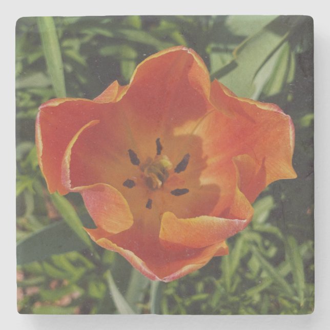 Posavasos De Piedra flor de primavera roja (Anverso)