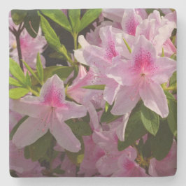 Posavasos De Piedra Flor de primavera rosada de Azalea Bush
