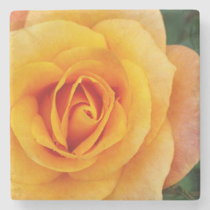 Posavasos De Piedra flor de rosa amarillo