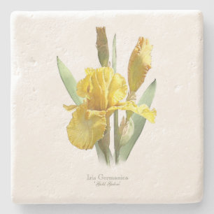 Posavasos De Piedra Flor del iris amarillo