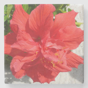 Posavasos De Piedra Flor doble roja hibiscus