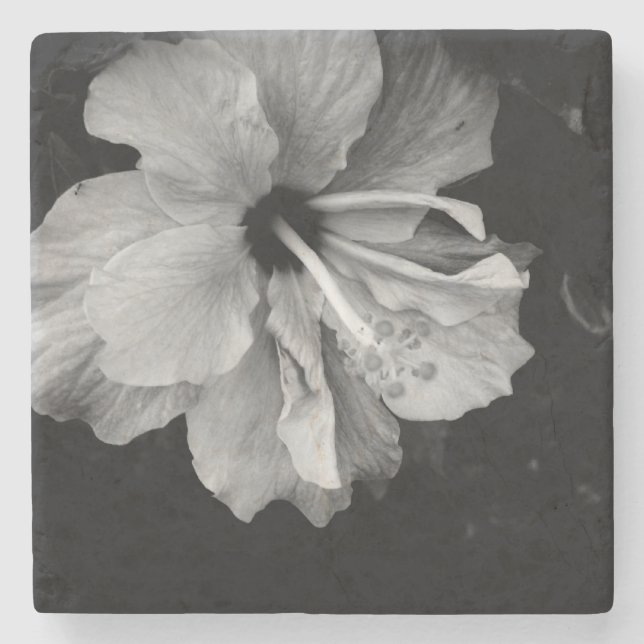 Posavasos De Piedra Flor hibiscus (Anverso)