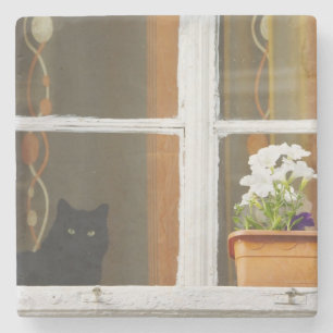 Posavasos De Piedra Flor junto a la ventana, Sighisoara, Rumania