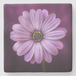 Posavasos De Piedra Flor morada en flor