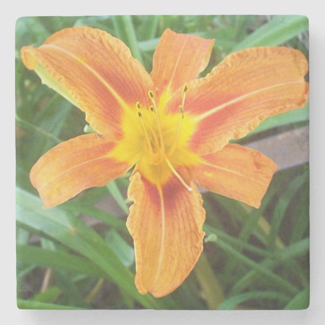 Posavasos De Piedra Flor naranja (Anverso)