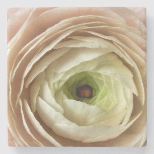 Posavasos De Piedra Flor Ranunculus