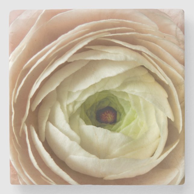 Posavasos De Piedra Flor Ranunculus (Anverso)