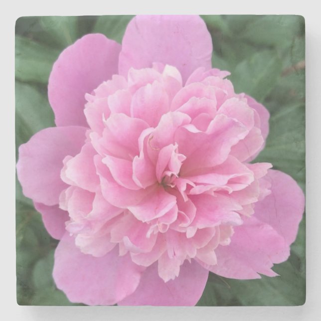 Posavasos De Piedra Flor rosa (Anverso)