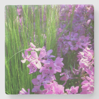 Posavasos De Piedra Flor rosa de verano y hierba