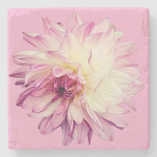 Posavasos De Piedra Flor rosa y crema (Anverso)